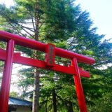 富士山周辺への旅「船津胎内樹型」と「北口本宮冨士浅間神社」